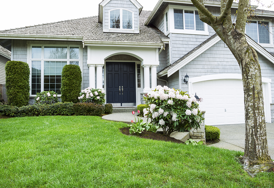 Horizontal photo of modern home in North American Suburbs with plush green grass rhododendron and tulips flower in mid spring season